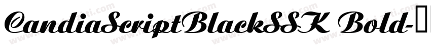 CandiaScriptBlackSSK Bold字体转换